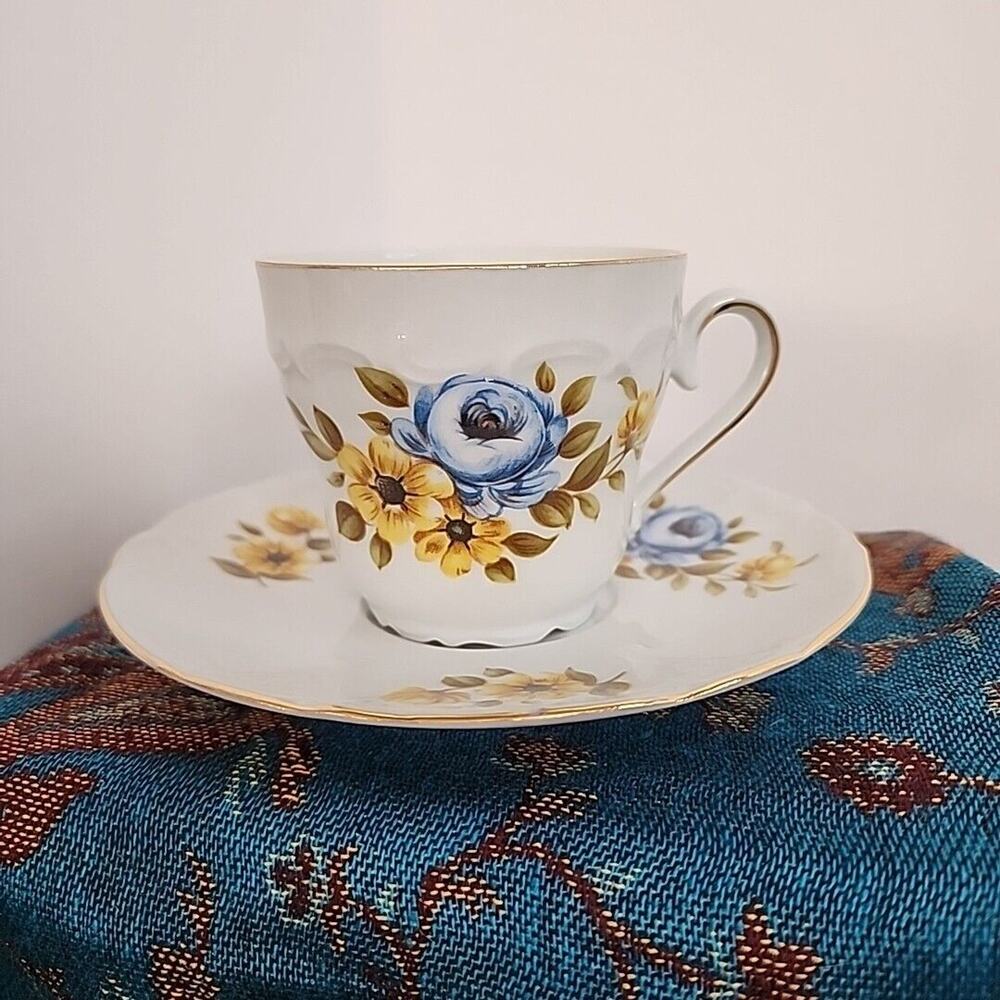 Bareuther Waldsassen Bavaria Germany Blue Roses Floral Cup And Saucer Set Vtg